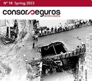 numero Legislative story to the extraordinary risk covers by Consorcio de Compensación de Seguros