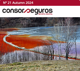 numero Growing risks: the role of the insurance