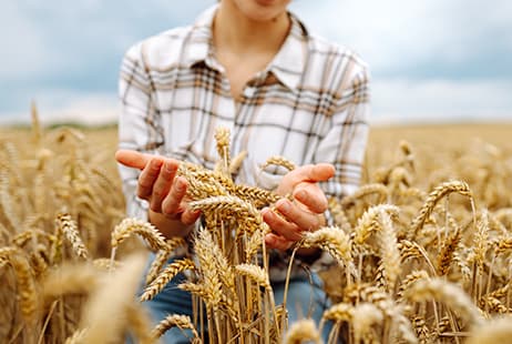 imagen FSFC: Una nueva arquitectura financiera para anticiparse al hambre