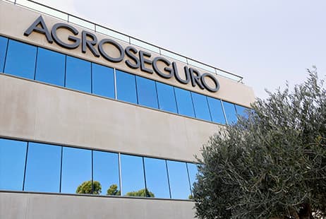 imagen Radiografía de Agroseguro y el seguro agrario en España: pilares fundamentales para la agricultura y la ganadería