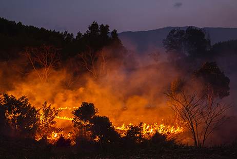 imagen Prevención de incendios forestales en un contexto de riesgo emergente