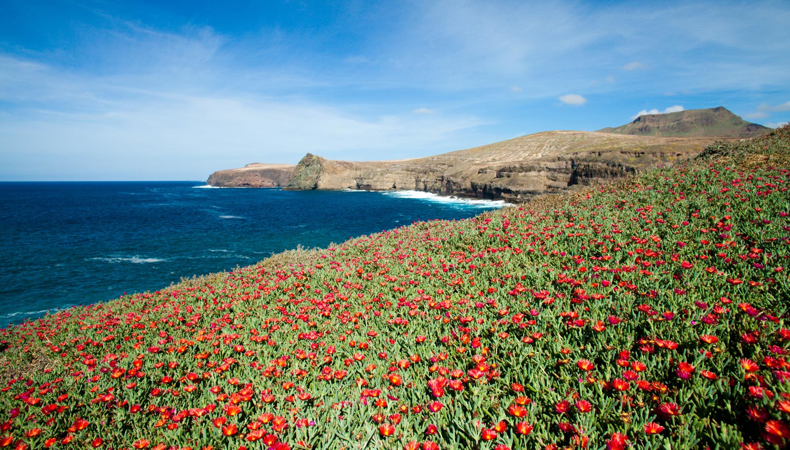 Assessment of geological risk in the Canary Islands: the GeoMEP project