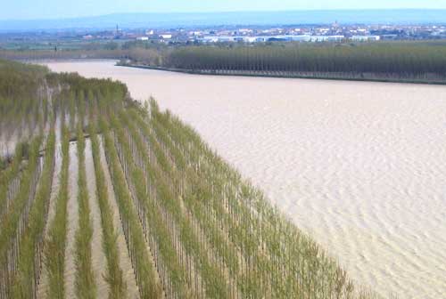 Planes de Gestin del Riesgo de Inundacin