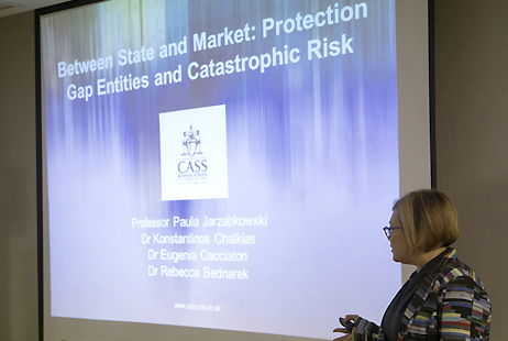 Protection Gap Entities: The landscape of government and market collaborations for catastrophe insurance