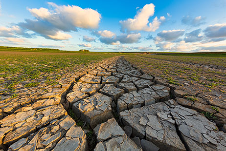 El Plan Nacional de Adaptacin al Cambio Climtico: una revisin para afrontar el futuro