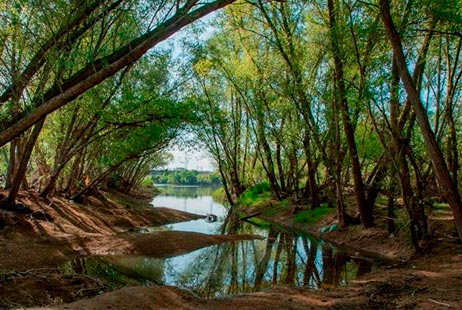 Prevention, protection, preparation and repair: measures to reduce flood risk along the axis of the Ebro