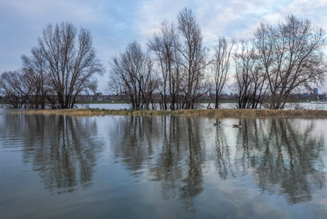 Mapping flood risk in Spain from Extraordinary Risk Insurance Scheme data