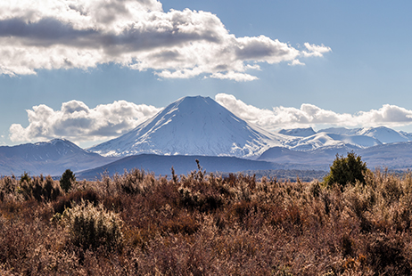 Volcanic risk management and insurance in New Zealand
