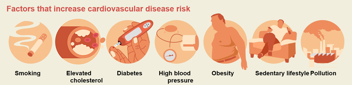 Figure 13. Factors for heightened risk of cardiovascular heart disease and associated death. Source: Instituto Nacional de Estadística and Sociedad Española de Cardiología.