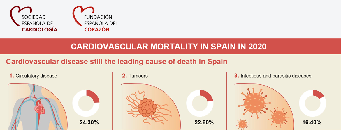 Figure 9. Causes of death in Spain. Source: Instituto Nacional de Estadística [Spain's National Institute of Statistics] and Sociedad Española de Cardiología [Spanish Cardiology Association].