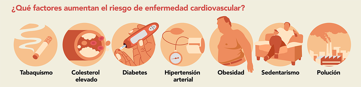 Figura 13. Factores de incremento de riesgo de patología cardiovascular y muerte asociada. Fuente: Instituto Nacional de Estadística y sociedad Española de Cardiología.