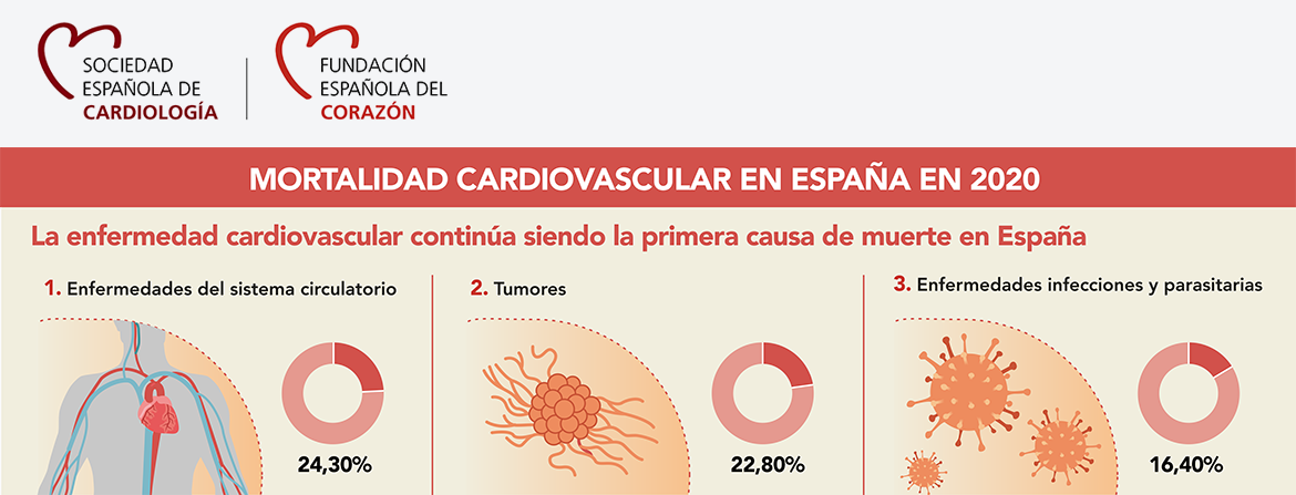 Figura 9. Causas de la mortalidad en España. Fuente: Instituto Nacional de Estadística y Sociedad Española de Cardiología.