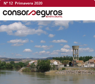 Nmero 12, primavera 2020